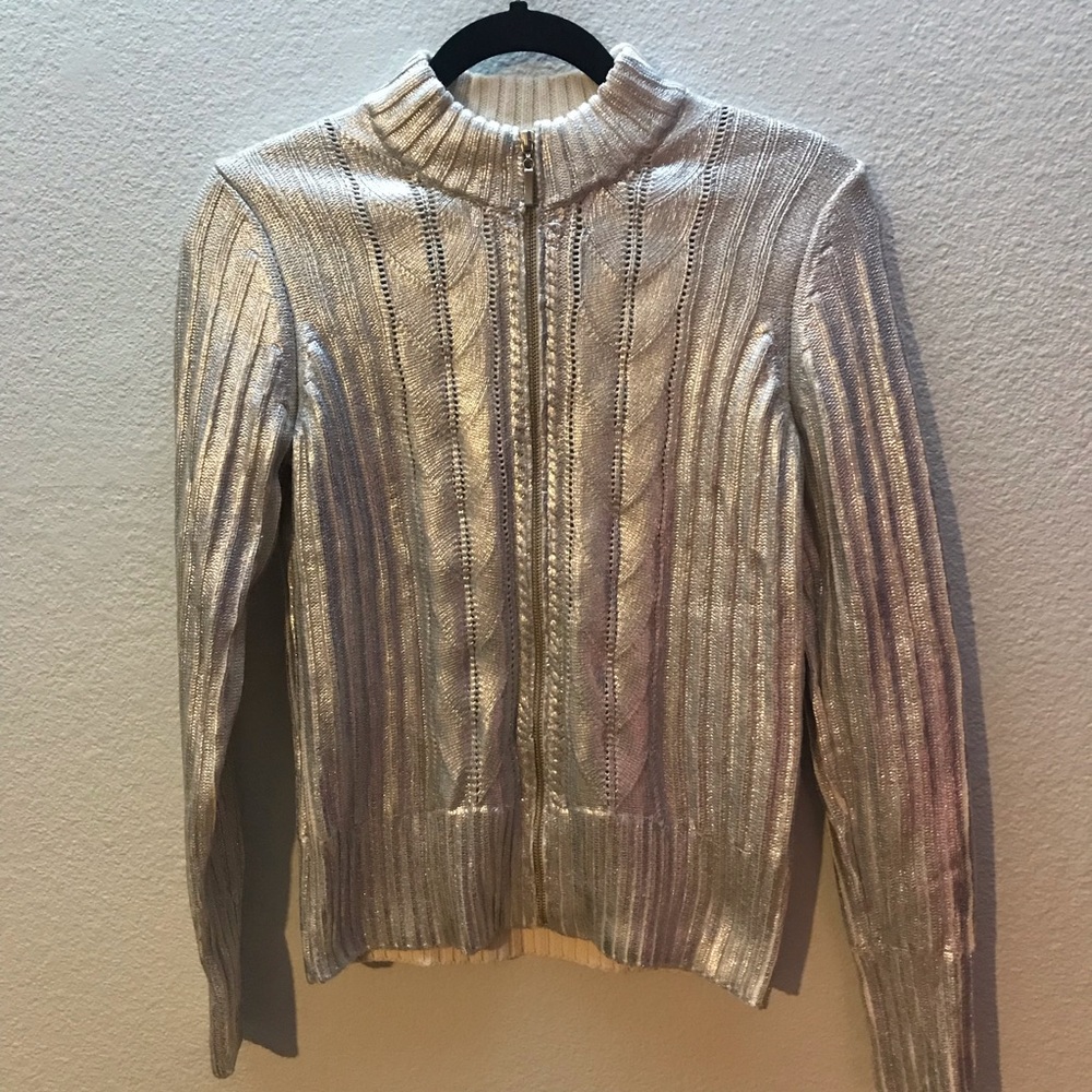 Boston Proper Silver Metallic Holiday Sweater